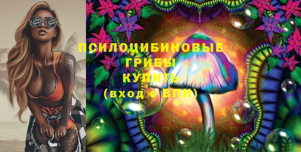 PSILOCYBIN Балахна