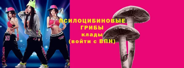 PSILOCYBIN Балахна