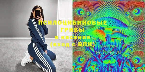 мдпв Надым